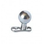 Dermal_bila_51e40e3502480