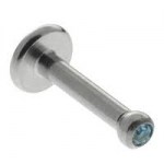 Jeweled_Labret_A_5176bbe424367