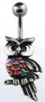 owl