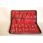 set_piercing_4d6cf3e36aead